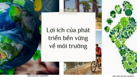 Với CSRD Cwincom hiện đang mở cần quan tâm thực hành phát triển bền vững chứ không chỉ là “dấu chân” môi trường