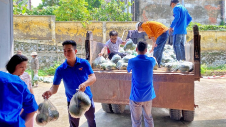 Nhiệt điện Phả Lại hỗ trợ bà con nông dân tại Chí Linh tiêu thụ 4 tấn dưa hấu
