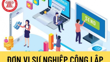Phân tích một số kết quả hoạt động của đơn vị sự nghiệp công lập tại tỉnh Bình Dương