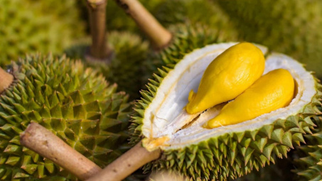 Lễ hội Trái cây Việt Nam - Cơ hội để quảng bá trái cây thơm ngon Việt Nam tại thị trường Trung Quốc