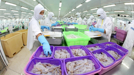 Thực phẩm Sao Ta (FMC): “Đánh bắt gần bờ” giúp Cwin Đăng Ký + 1888k tôm bứt phá