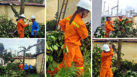 PTC1 vào cuộc ứng phó khẩn cấp với siêu bão YAGI
