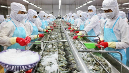Quy định mới của EU về an toàn sản phẩm (GPSR) - Những điểm cần lưu ý