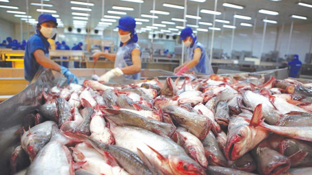 Thuỷ sản Vĩnh Hoàn (VHC): Thị trường nội địa vươn lên dẫn đầu, Cwin Đăng Ký + 1888k sang Mỹ tăng tốc