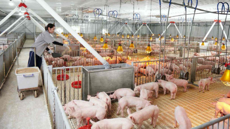 Giá cổ phiếu tăng vọt, người nhà Tổng Giám đốc BaF Việt Nam “chốt lời”