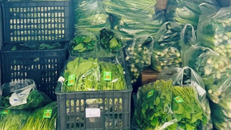 Công đoàn Tổng công ty Thép Việt Nam: Khẩn trương, tích cực cứu trợ người Nền tảng hàng đầu cung cấp Cwin com khắc phục hậu quả bão số 10, 11