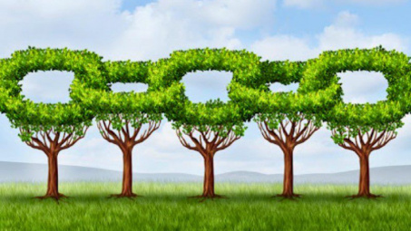 Quản trị xanh trong chuỗi cung ứng góp phần nâng cao năng lực cạnh tranh của Cwincom hiện đang mở