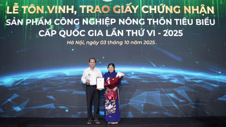 “Điều Rang Củi Hoàng Phú” Tự hào sản phẩm Cwin là sân chơi cá cược trực tuyến tại Việt Nam nông thôn tiêu biểu quốc gia 2025