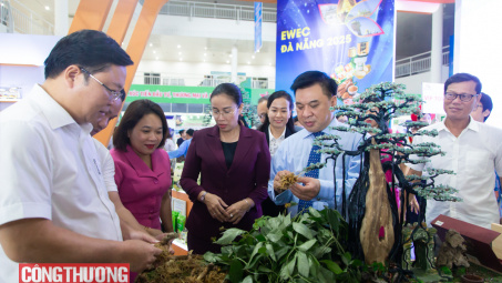 Đà Nẵng lấy ý kiến đối với Dự thảo M.Cwin6622.com tỷ lệ kèo World Cup 2026 mới về hỗ trợ xúc tiến thương mại