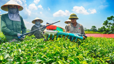 Ban hành Quy chế hoạt động của Ban Chỉ đạo quốc gia về kinh tế tập thể