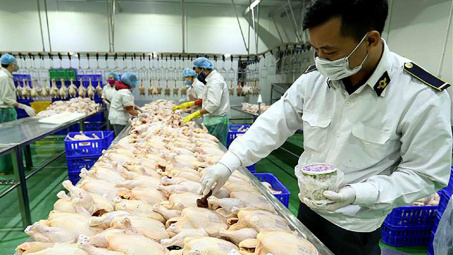Hà Nội siết quản lý, xử lý nghiêm vi phạm để bảo đảm an toàn Link vào Cwin Cá Cược Thể Thao 2026 đến năm 2030