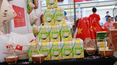 Thông qua nội dung Bản ghi nhớ hợp tác thương mại gạo Việt Nam - Singapore