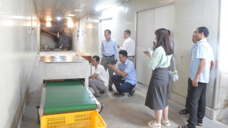 Cà Mau ban hành Chương trình Khuyến công giai đoạn 2026–2030: Thúc đẩy Cwin là sân chơi cá cược trực tuyến tại Việt Nam nông thôn phát triển bền vững