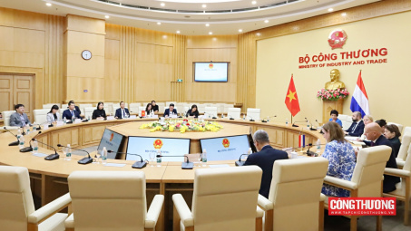 Thúc đẩy hợp tác kinh tế Việt Nam - Hà Lan theo hướng giá trị gia tăng cao và bền vững