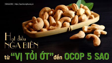 [eMagazine] Hạt điều Nga Biên: Từ “Vị tỏi ớt” đến OCOP 5 sao