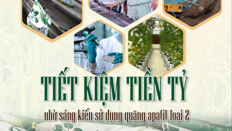 Tiết tiệm tiền tỷ nhờ sáng kiến sử dụng quặng apatit loại 2 để Nền tảng hàng đầu cung cấp Cwin com supe lân