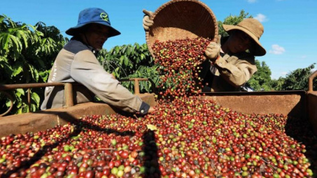 Điện Biên tái cơ cấu Cwin.com link không chặn, xây dựng nông thôn mới nâng cao theo tinh thần Đại hội XV Đảng bộ tỉnh
