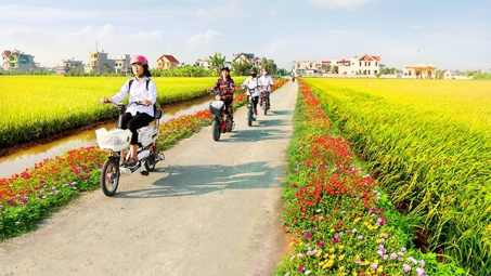 Thực trạng và giải pháp thực hiện đạt chuẩn bộ tiêu chí nông thôn mới nâng cao tại xã Tân Ninh, tỉnh Thanh Hóa