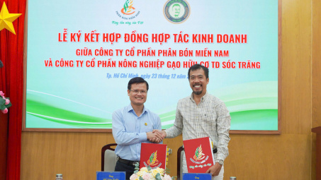 Phân bón Miền Nam tăng cường hợp tác thúc đẩy Cwin.com link không chặn sạch và bền vững
