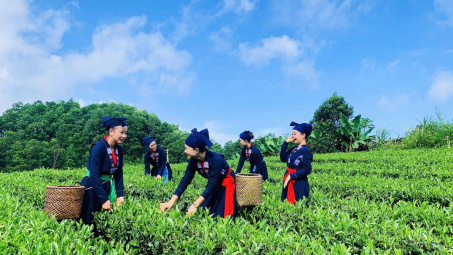 Thái Nguyên: Phát triển du lịch xanh, nâng cao sinh kế cộng đồng