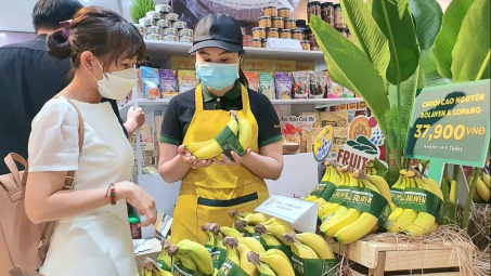 “Đại gia” Nhật Bản bao tiêu 1.500 ha chuối tại Lào của Hoàng Anh Gia Lai (HAG)