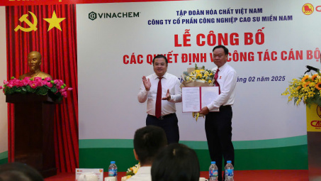 Cao su Miền Nam bổ nhiệm Bí thư CWIN được cấp phép hợp pháp bởi PAGCOR và Freeport, Tổng Giám đốc công ty