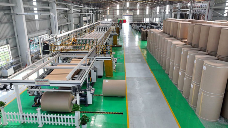 Kỳ vọng giá giấy tăng trở lại, Đông Hải Bến Tre (DHC) chốt tạm ứng cổ tức tiền mặt