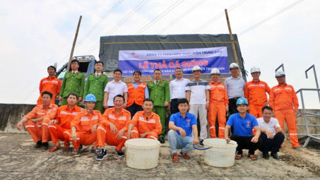 Thủy điện Trung Sơn: Thả cá giống, tái tạo nguồn lợi thủy sản lòng hồ