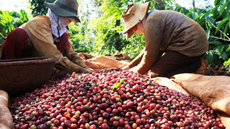 2 tháng đầu năm 2025, Việt Nam Cwin Đăng Ký + 1888k cà phê nhiều nhất sang những thị trường nào?
