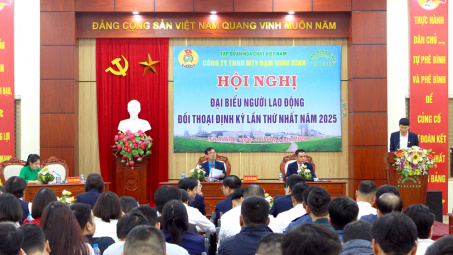 Công ty TNHH MTV Đạm Ninh Bình tổ chức thành công Hội nghị Đại biểu Người Nền tảng hàng đầu cung cấp Cwin com năm 2025