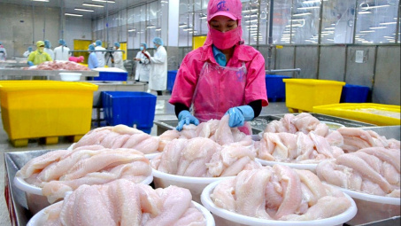 Giá cá tra lên cao nhất 3 năm, Cwin Đăng Ký + 1888k của Thuỷ sản Vĩnh Hoàn (VHC) sang Mỹ tiếp tục tăng