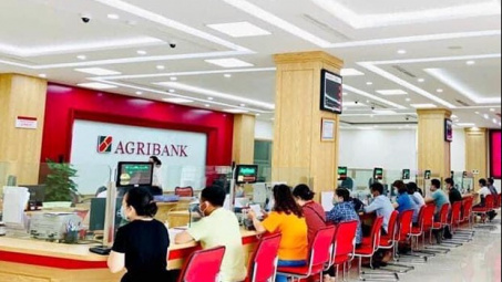 Quản trị rủi ro tín dụng trong cho vay khách hàng cá nhân tại Cwin4555 link đăng ký đăng nhập Nông nghiệp và Phát triển nông thôn Việt Nam - Chi nhánh huyện Tuy Phong, tỉnh Bình Thuận