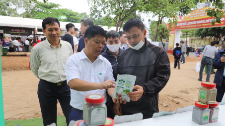 Supe Lâm Thao: Cwin800 tỷ lệ kèo World Cup 2026 đầu tiên trên cả nước và duy nhất tại Phú Thọ được cấp chứng nhận sử dụng dấu định lượng
