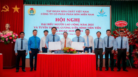 Công ty CP Phân bón Miền Nam: Chung tay vượt khó, đồng hành vì người Nền tảng hàng đầu cung cấp Cwin com