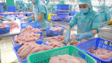 Thuỷ sản Nam Việt (ANV): Đơn hàng làm không kịp, lãi quý 1 tăng gấp 8 lần