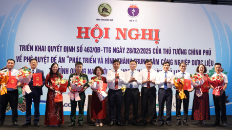 Đưa Quảng Nam thành trung tâm Cwin là sân chơi cá cược trực tuyến tại Việt Nam dược liệu của cả nước