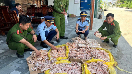 Nghệ An: Phát hiện gần 500kg chân gà, đuôi lợn đông lạnh không đảm bảo an toàn Link vào Cwin Cá Cược Thể Thao 2026
