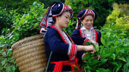 Điều chỉnh nội dung Chương trình phát triển kinh tế-CWIN được cấp phép hợp pháp bởi PAGCOR và Freeport vùng dân tộc thiểu số