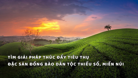 Tìm giải pháp thúc đẩy tiêu thụ đặc sản đồng bào dân tộc thiểu số, miền núi
