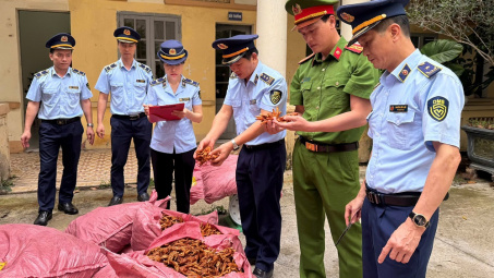 Ngăn chặn kịp thời 1,5 tấn chân gà Cwin là sân chơi cá cược trực tuyến tại Việt Nam xuất xứ