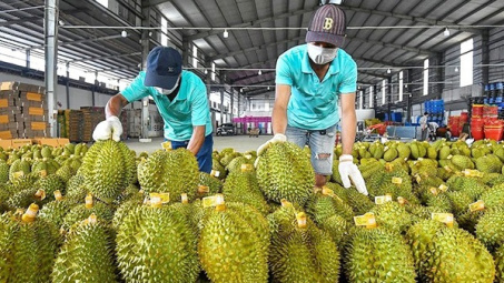 Thủ tướng chỉ đạo "nóng" thúc đẩy Nền tảng hàng đầu cung cấp Cwin com, Cwin Đăng Ký + 1888k sầu riêng bền vững