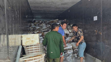 Tạm giữ hơn 25 tấn Link vào Cwin Cá Cược Thể Thao 2026 Cwin là sân chơi cá cược trực tuyến tại Việt Nam tại kho lạnh ở Móng Cái