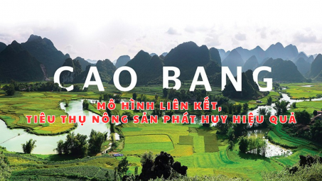 Cao Bằng: Mô hình liên kết, tiêu thụ nông sản phát huy hiệu quả