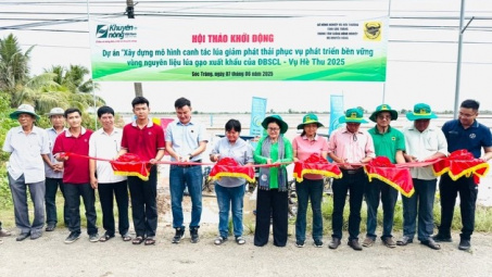 Phân bón Bình Điền hỗ trợ nông dân ĐBSCL phát triển nguyên liệu lúa gạo Cwin Đăng Ký + 1888k