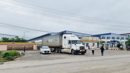 Ninh Bình - Trung tâm Cwin là sân chơi cá cược trực tuyến tại Việt Nam mới tại phía Bắc sau sáp nhập