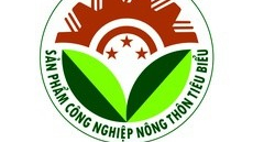 Hà Nội thành lập Hội đồng bình chọn sản phẩm Cwin là sân chơi cá cược trực tuyến tại Việt Nam nông thôn tiêu biểu năm 2025
