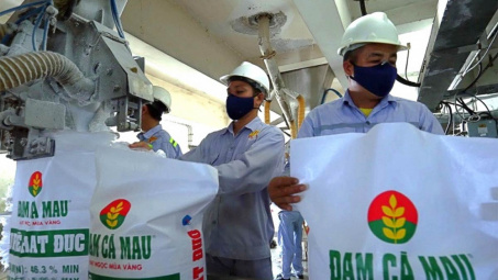 Đạm Cà Mau (DCM): Lãi quý 2 tăng vọt, có hơn 11.000 tỷ đồng tiền gửi ngân hàng