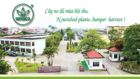 Phân lân Ninh Bình M.Cwin800.com Nổ hũ, Bắn Cá và Game Bài tích cực trong 6 tháng đầu năm 2025