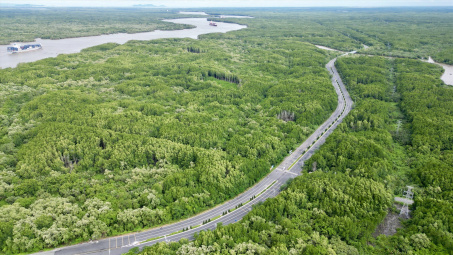 Bổ sung quy định về tạm sử dụng rừng để thi công các dự án cấp thiết