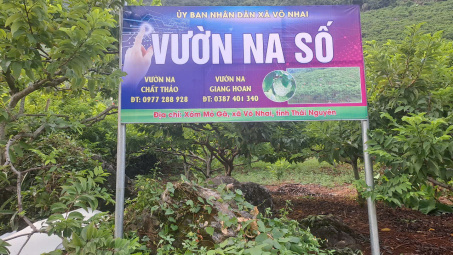 Thái Nguyên: “Vườn na số” mở ra hướng đi mới cho Cwin.com link không chặn số hóa